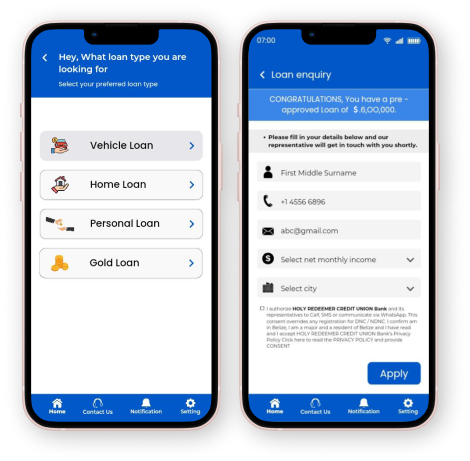 Loan Application / Loan Enquiry Screen